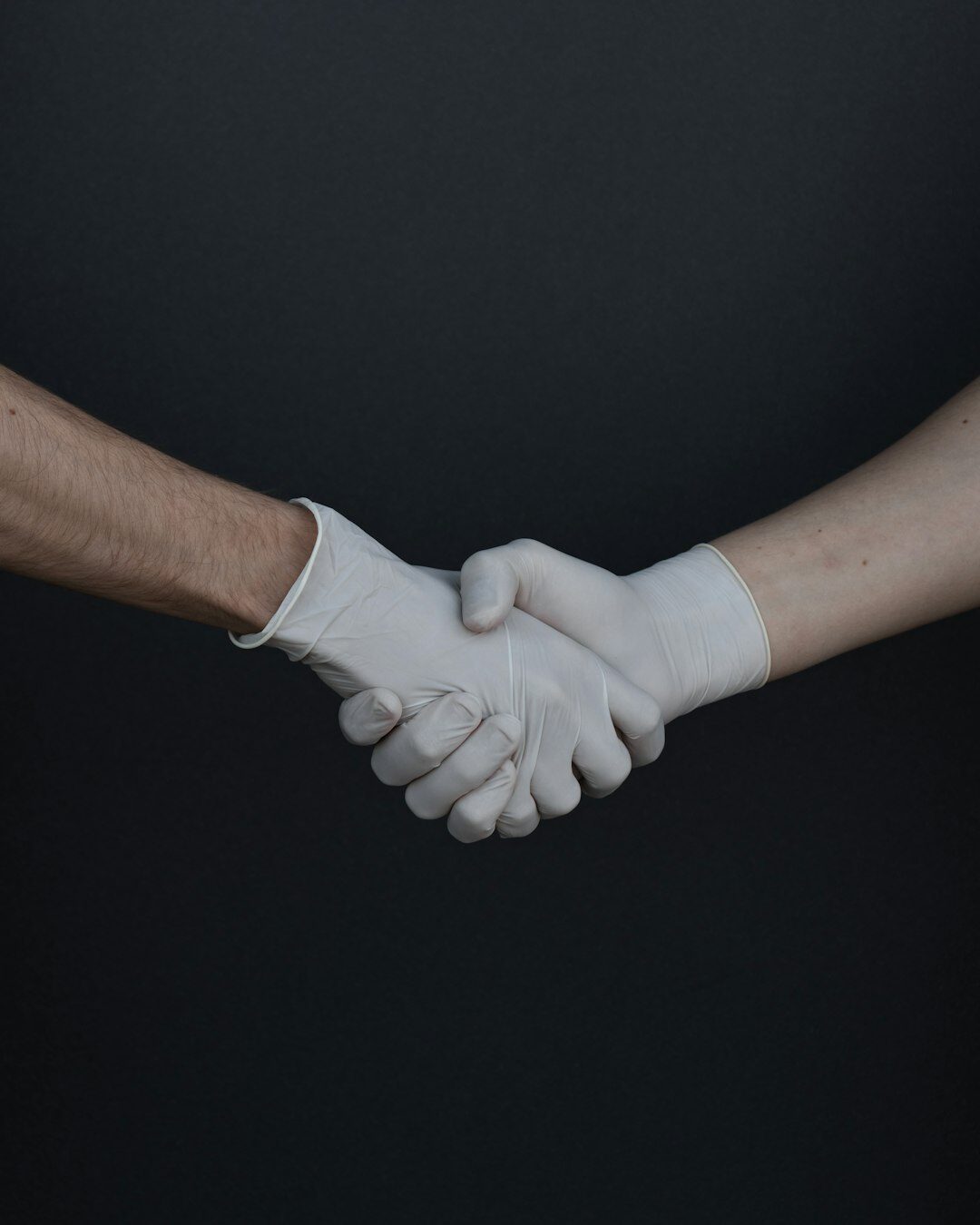 Business handshake between two professionals