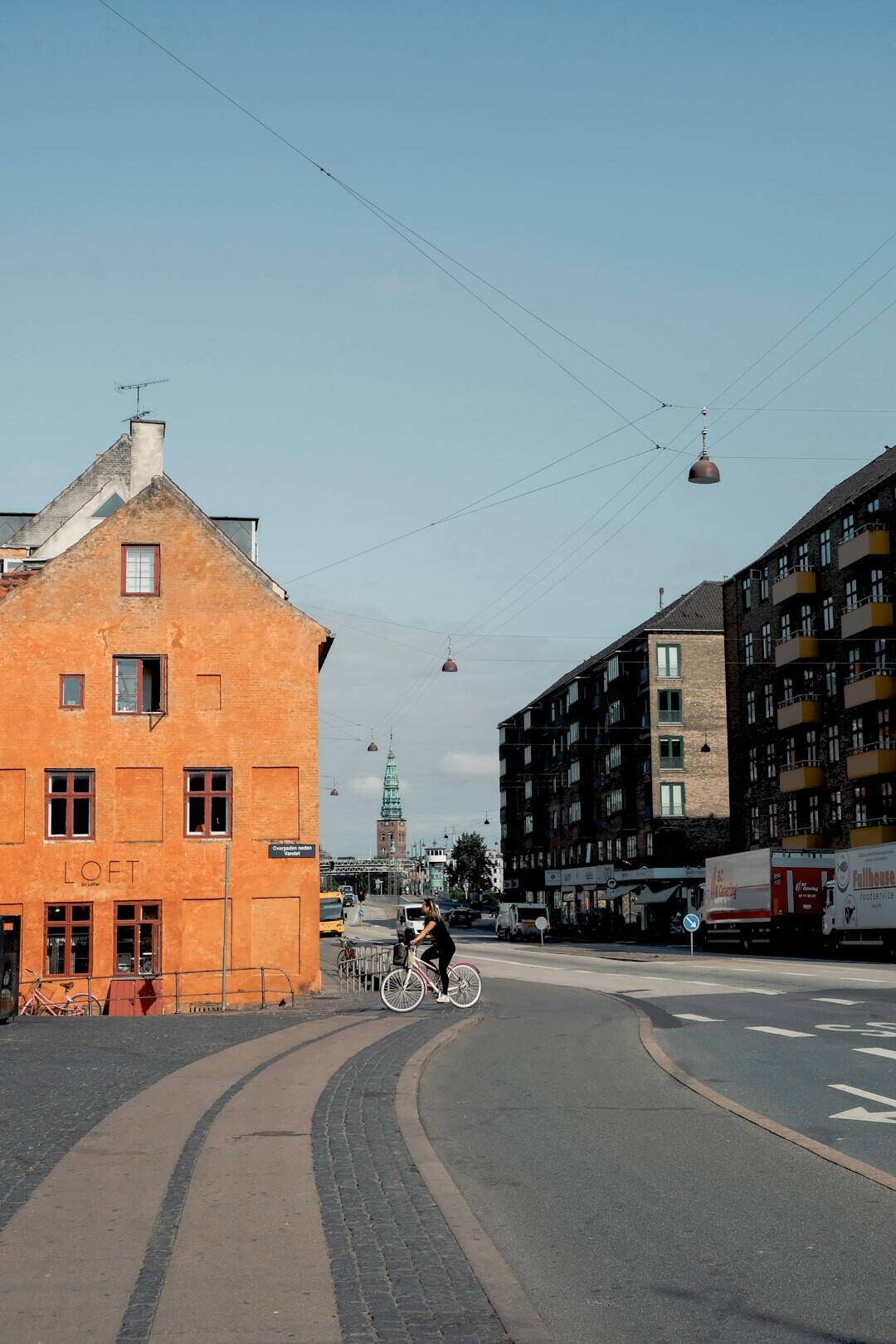 Portrait of a Danish female business developer